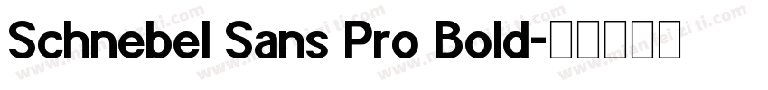 Schnebel Sans Pro Bold字体转换